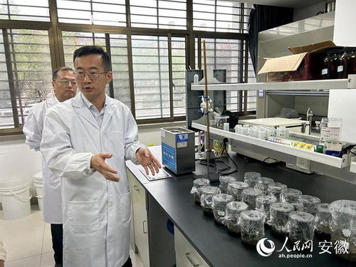東華科技舉辦媒體開放日活動